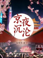 京夜沉沦章节列表